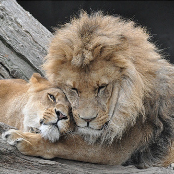 Meet your Posher, Michelle - Picture 5 of 5